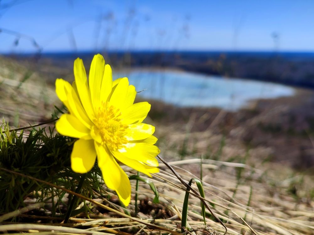 Photograph by Юлия Гинтер