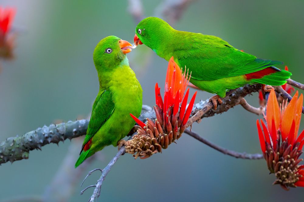 Photograph by Prince Paul Joy