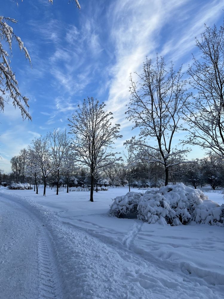 Photograph by Владимир Запорожченко