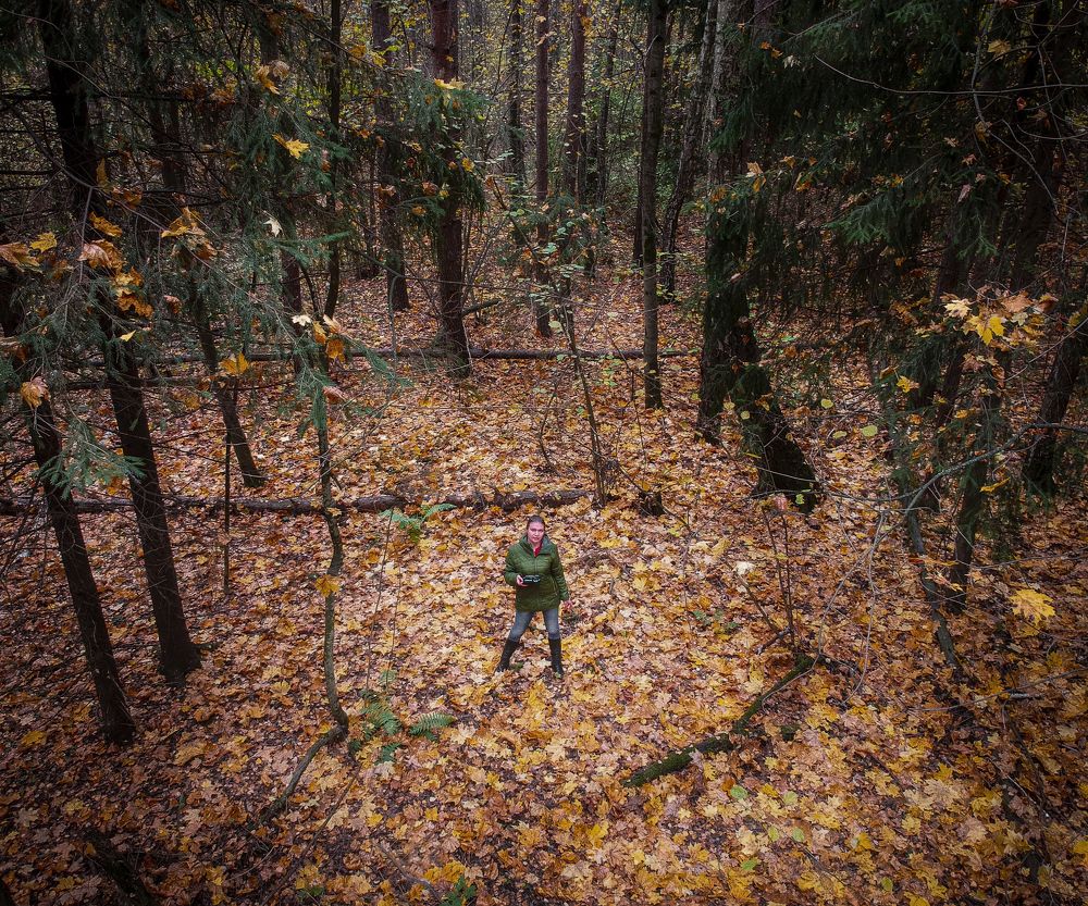 В осеннем лесу
