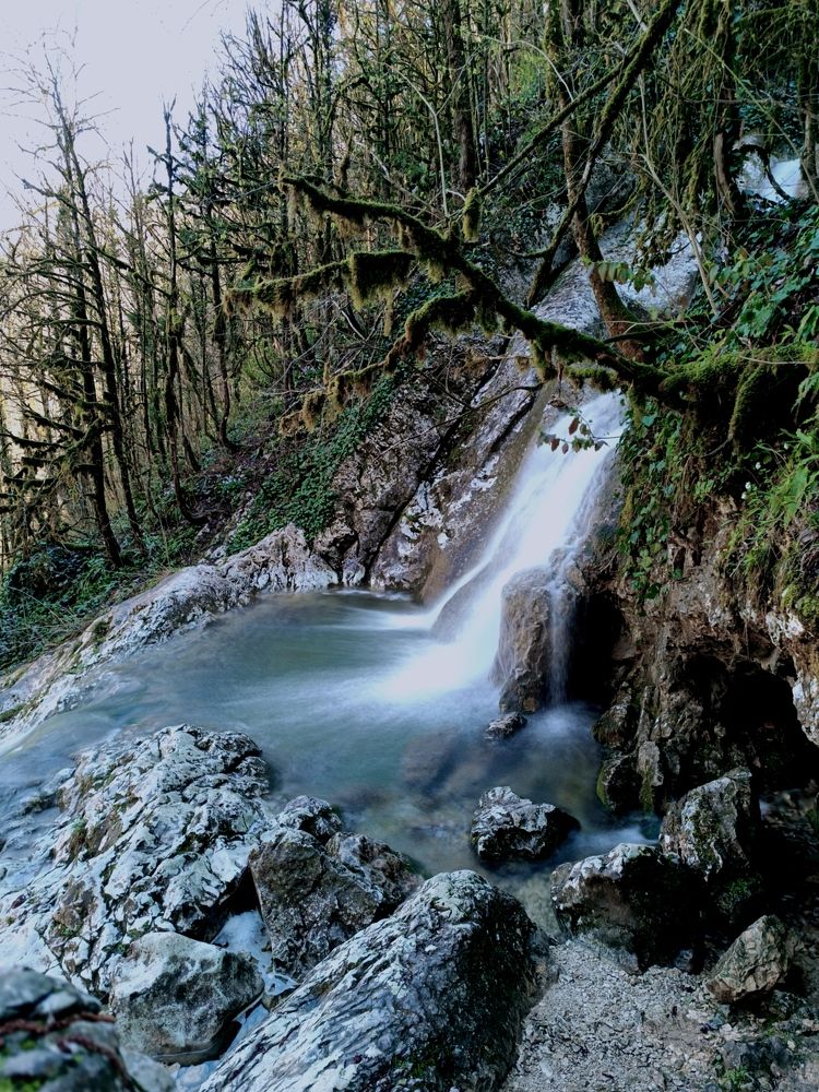 Фотография автора OXANA MARSOVA