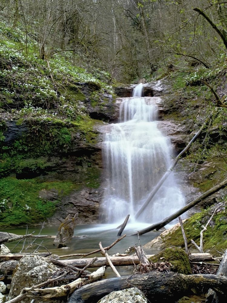 Фотография автора OXANA MARSOVA