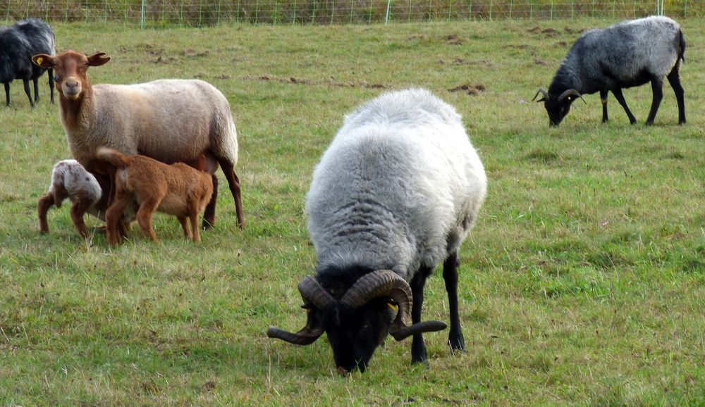 Photograph by Pjotr Alekseev