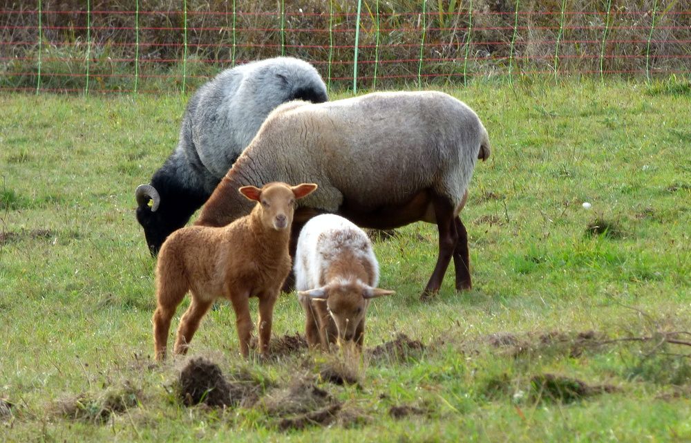 Photograph by Pjotr Alekseev