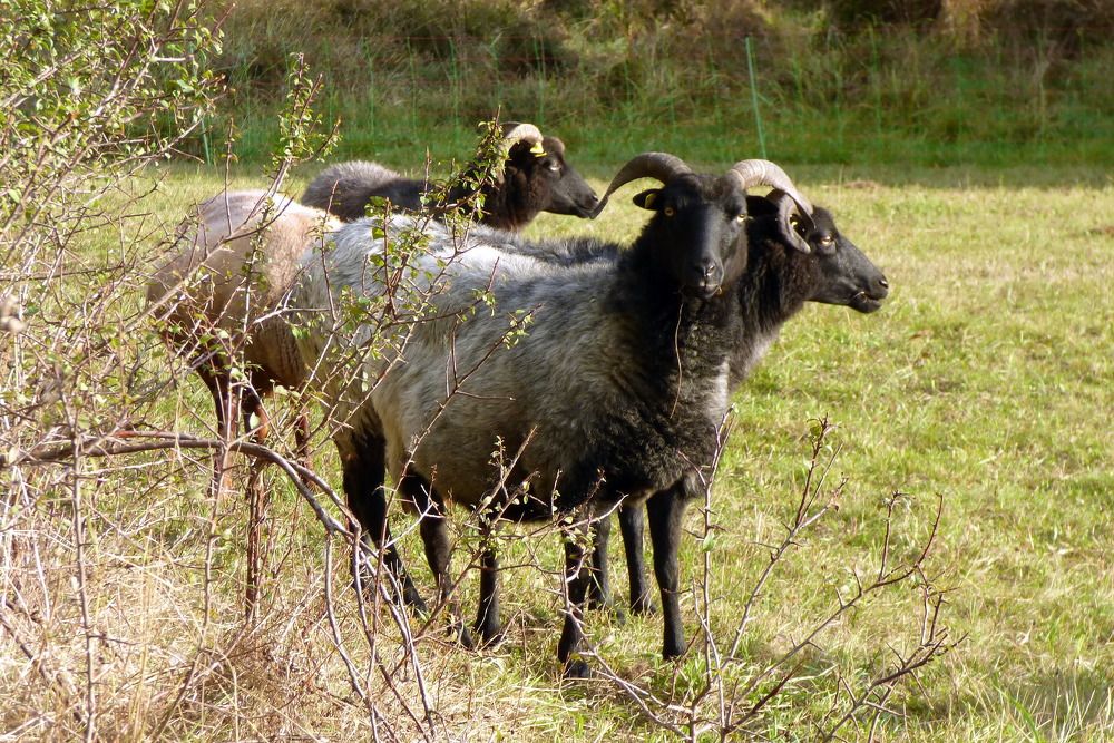 Photograph by Pjotr Alekseev