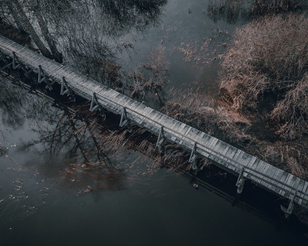 Photograph by Алексей Акулин