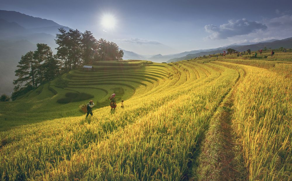 Photograph by CHU HUU LAC