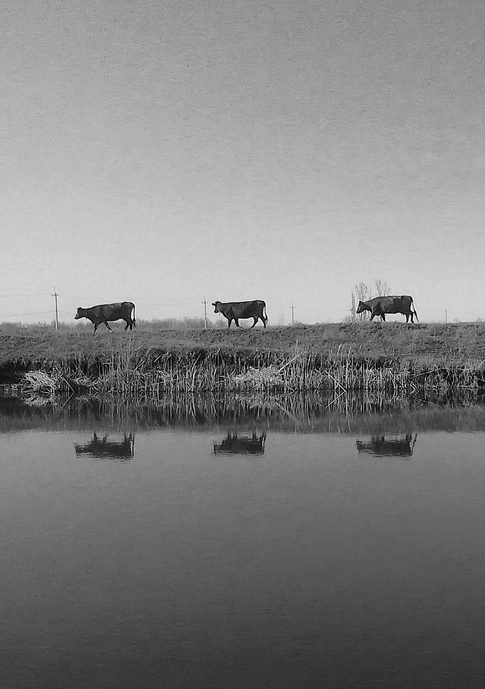 Photograph by Павел Вихрев