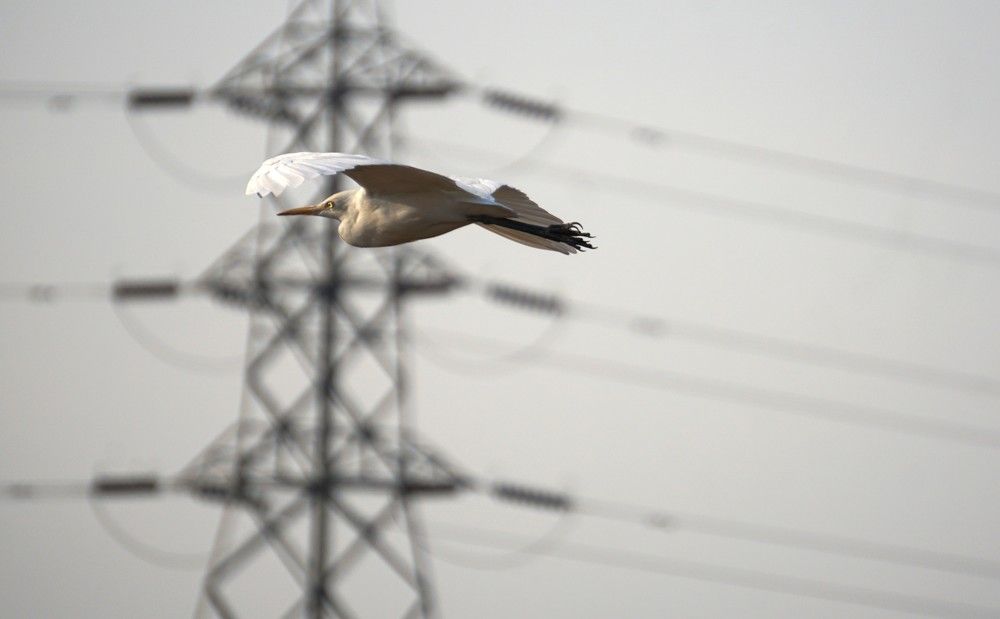 Photograph by Prabhu Viswanathan