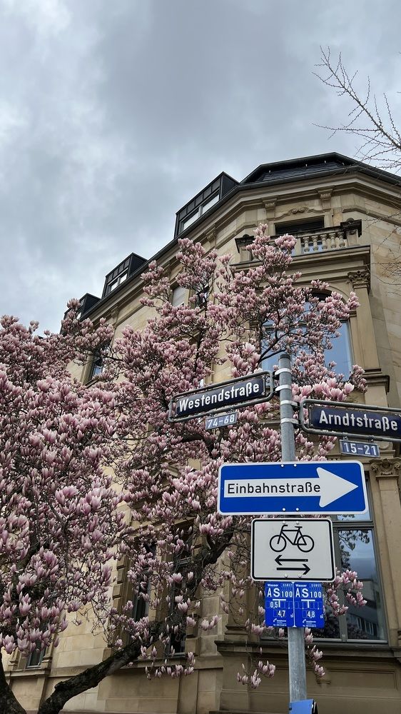 Photograph by Камилла Зозуля