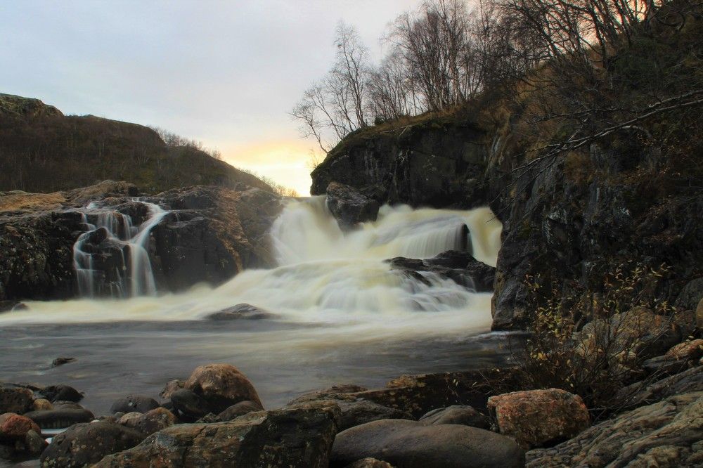 Фотография автора Светлана Терехова