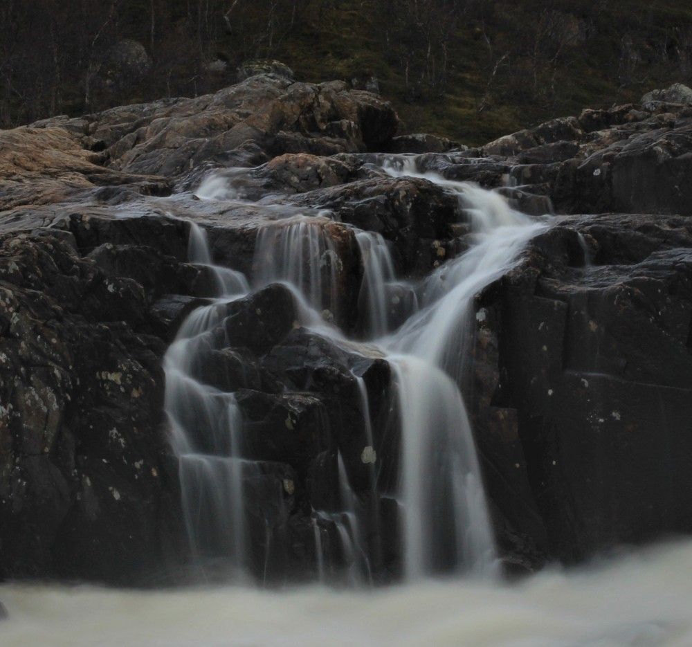 Фотография автора Светлана Терехова