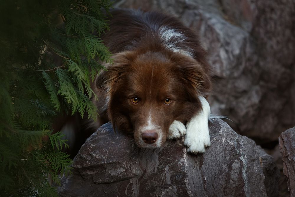 Photograph by Ольга Легенькая