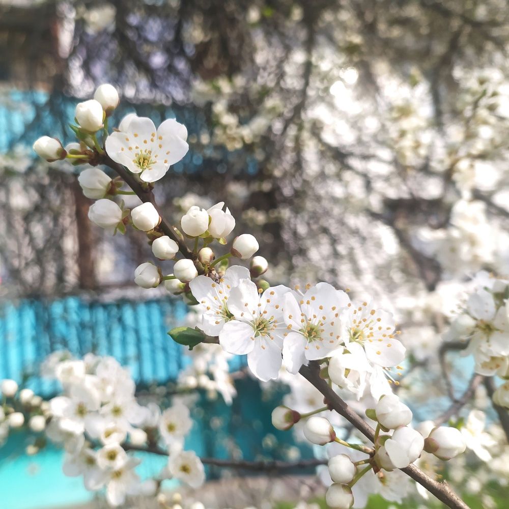 Photograph by Ирина Половцева