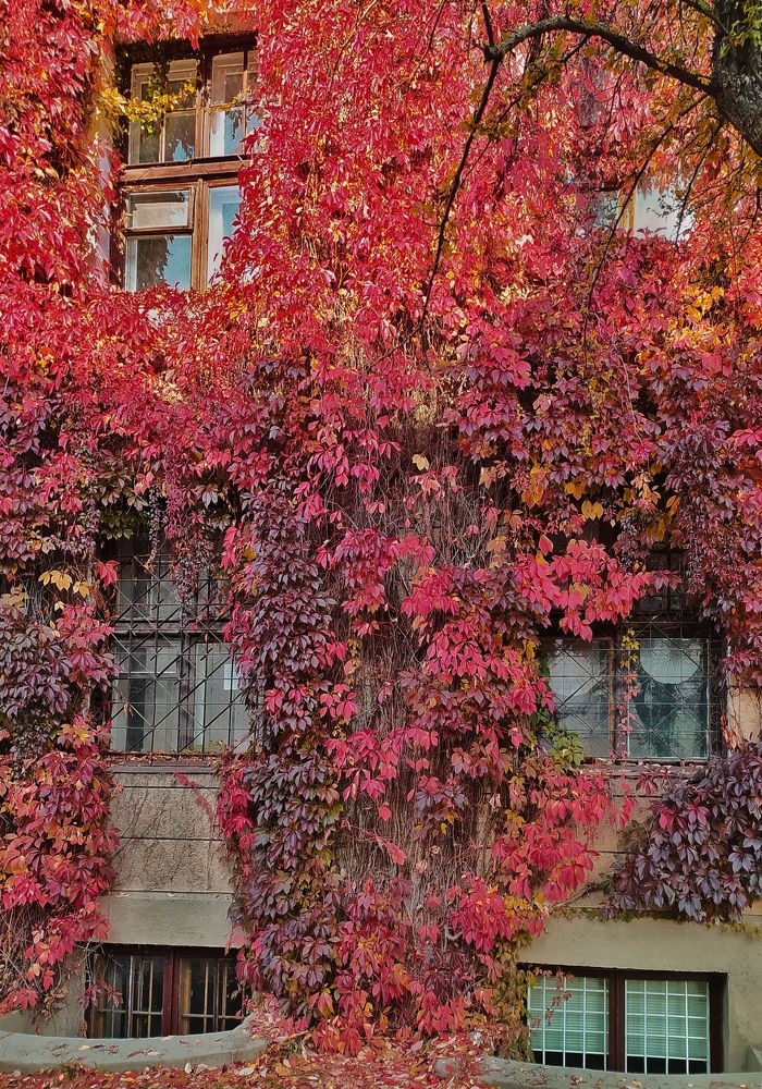 Photograph by Ирина Половцева