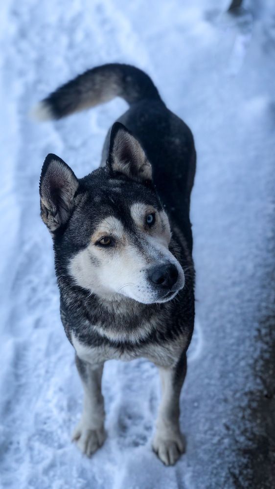 Photograph by Ирина Маркина