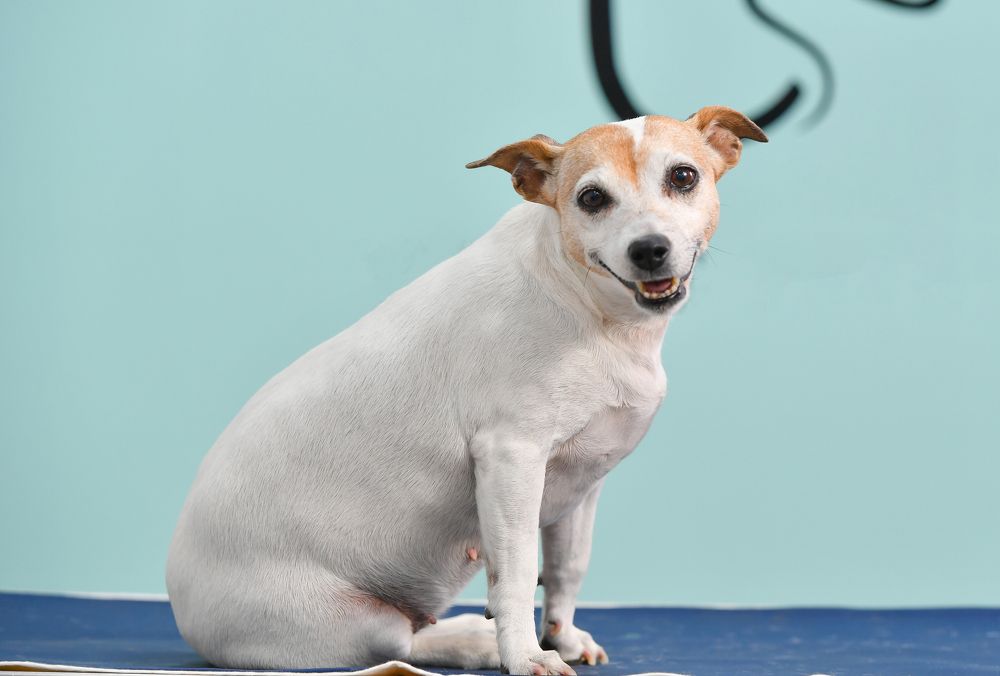 Photograph by Kaouche Mohamed