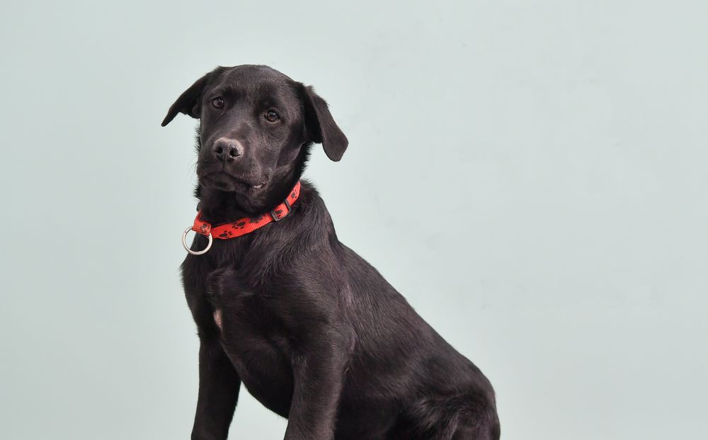 Photograph by Kaouche Mohamed