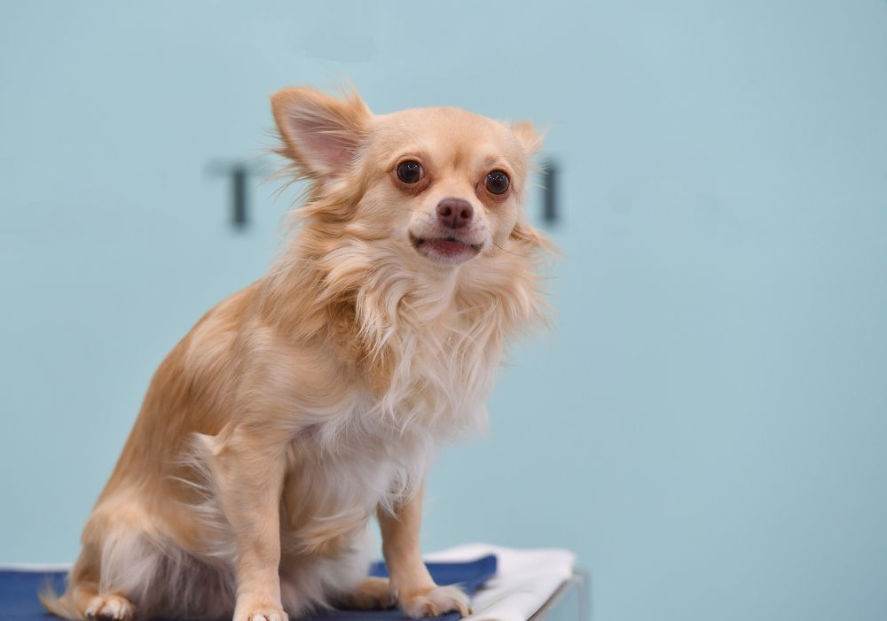 Photograph by Kaouche Mohamed