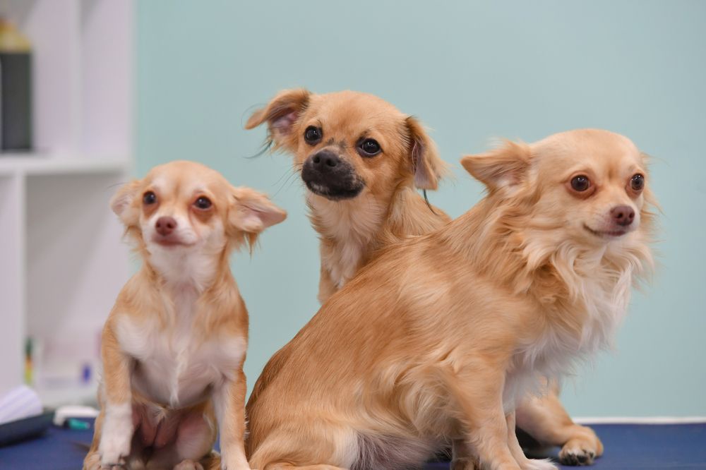 Photograph by Kaouche Mohamed