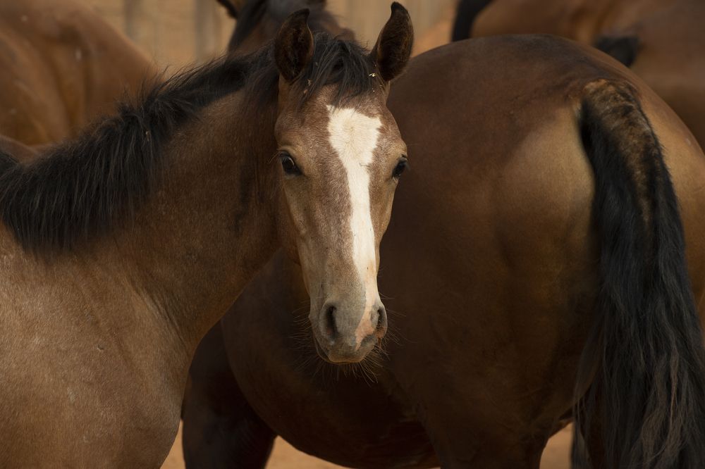 Photograph by Kaouche Mohamed