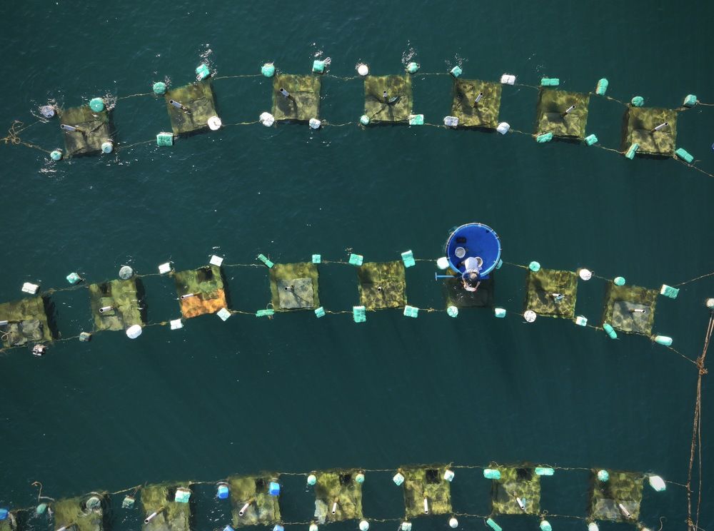 Photograph by Le Hanh Truong