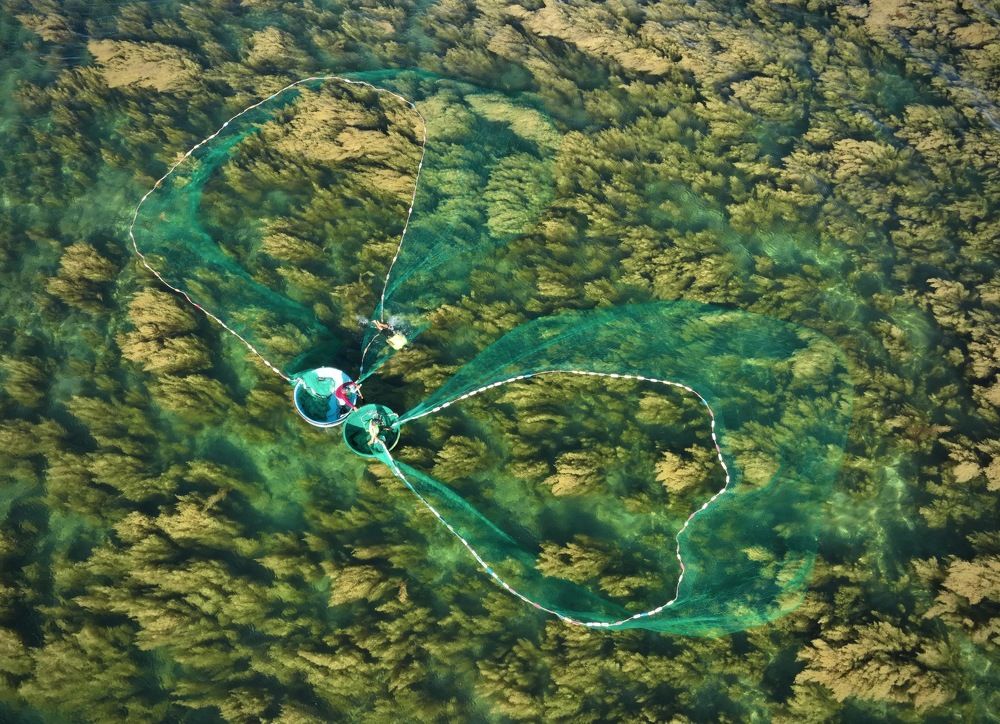 Photograph by Le Hanh Truong