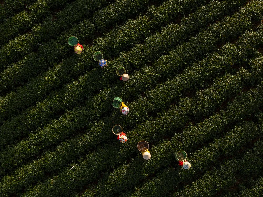 Photograph by Viet Hung Bui