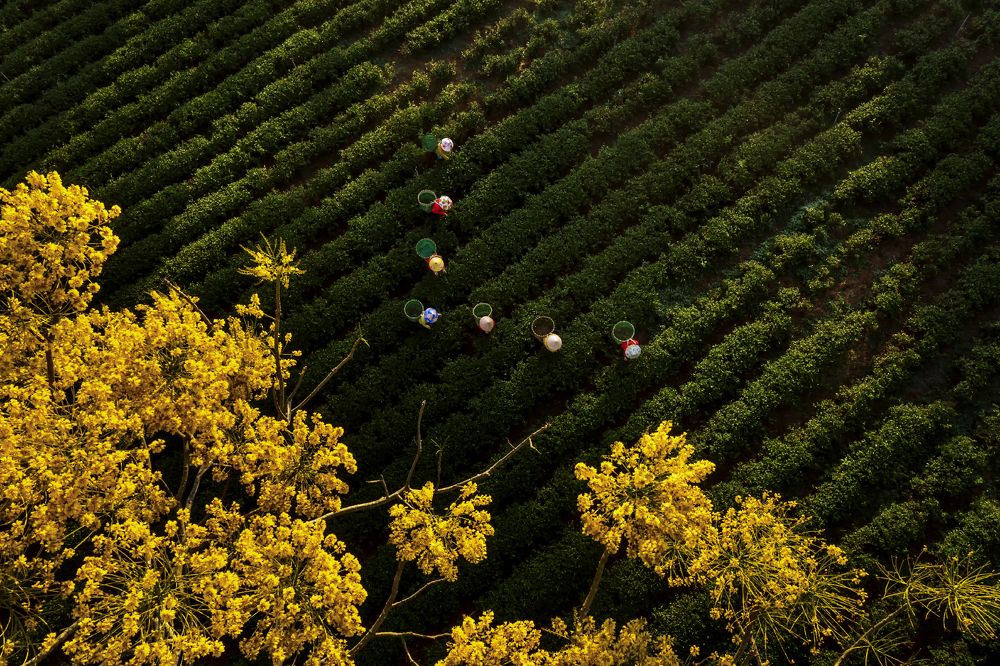 Photograph by Viet Hung Bui