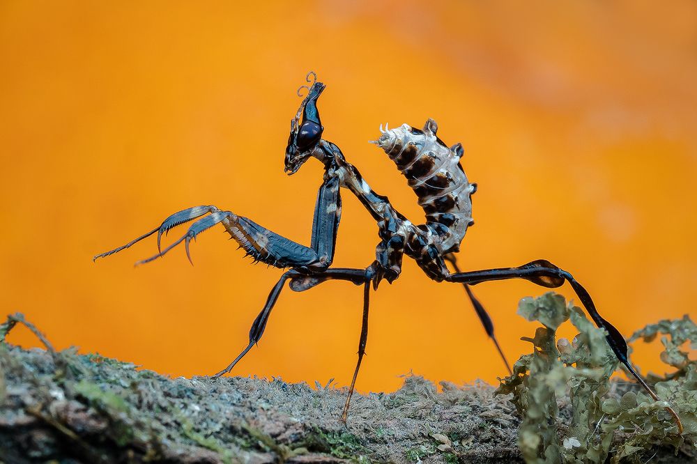 Photograph by Marcus Kam