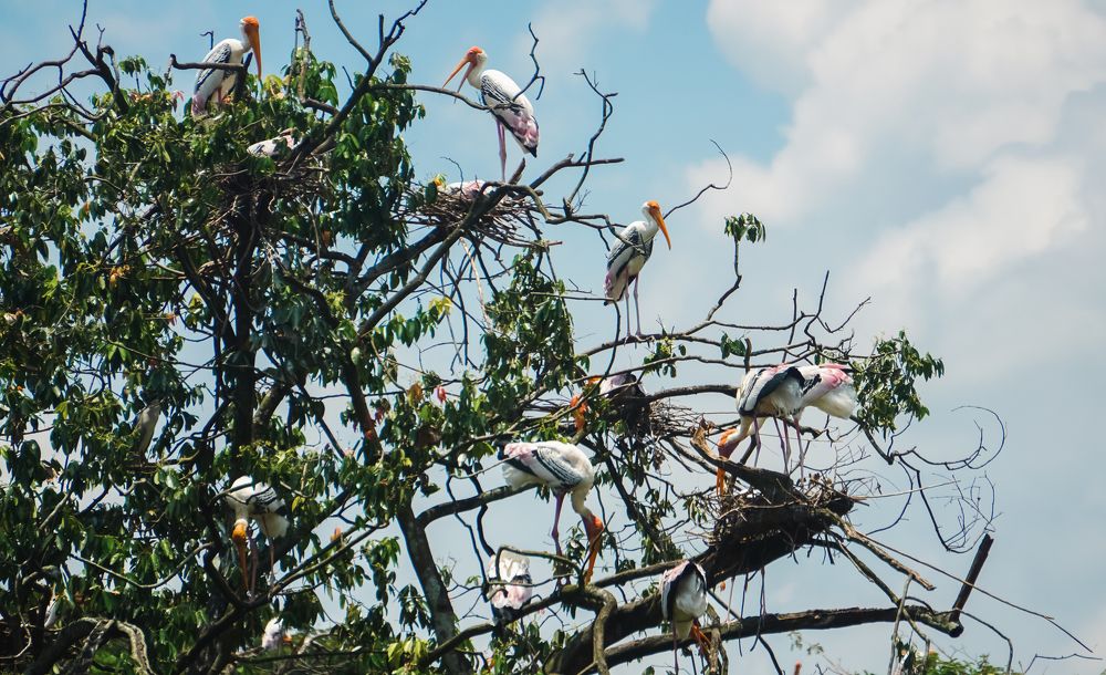 Photograph by Kanesen Haeswani