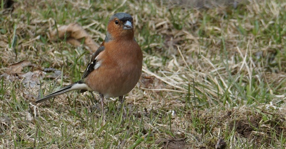 Photograph by Михаил Трусов