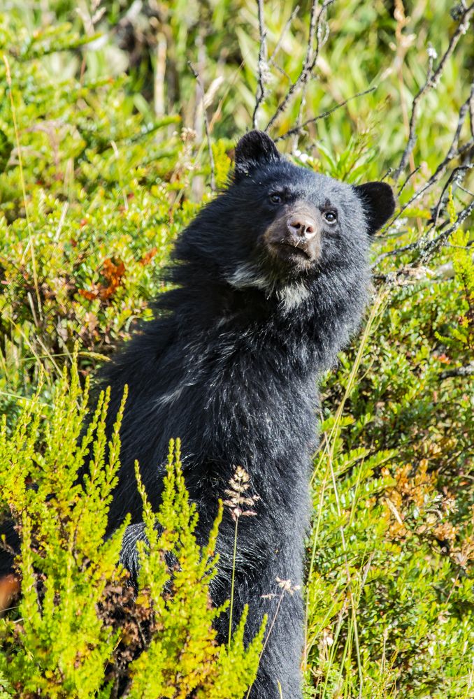 Photograph by Mario Pedraza