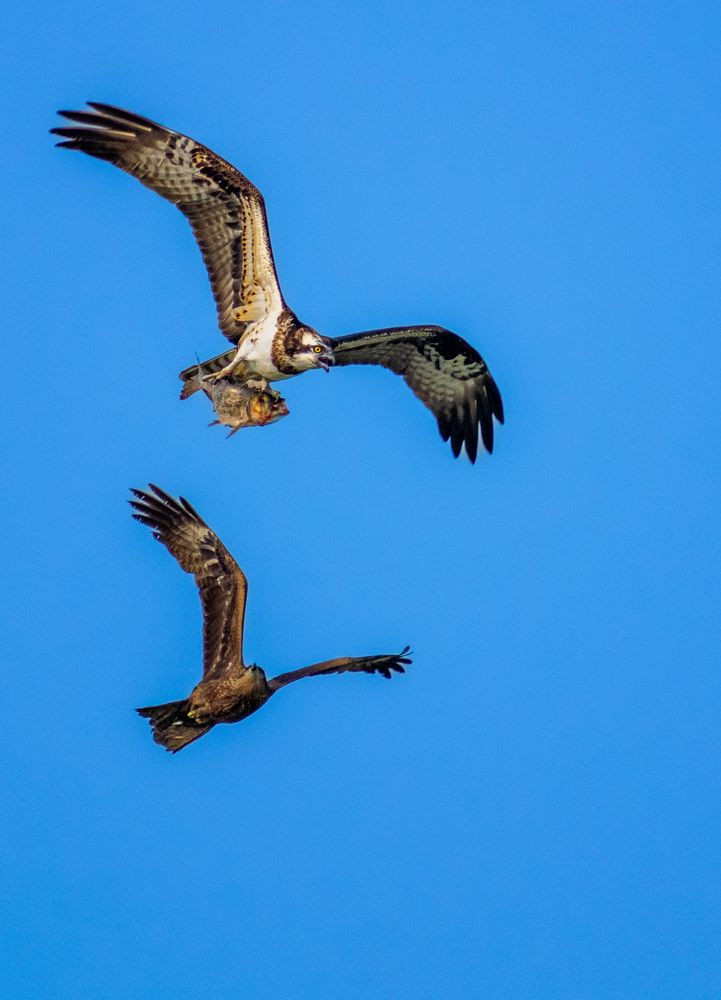 Photograph by Pratyayee Dutta