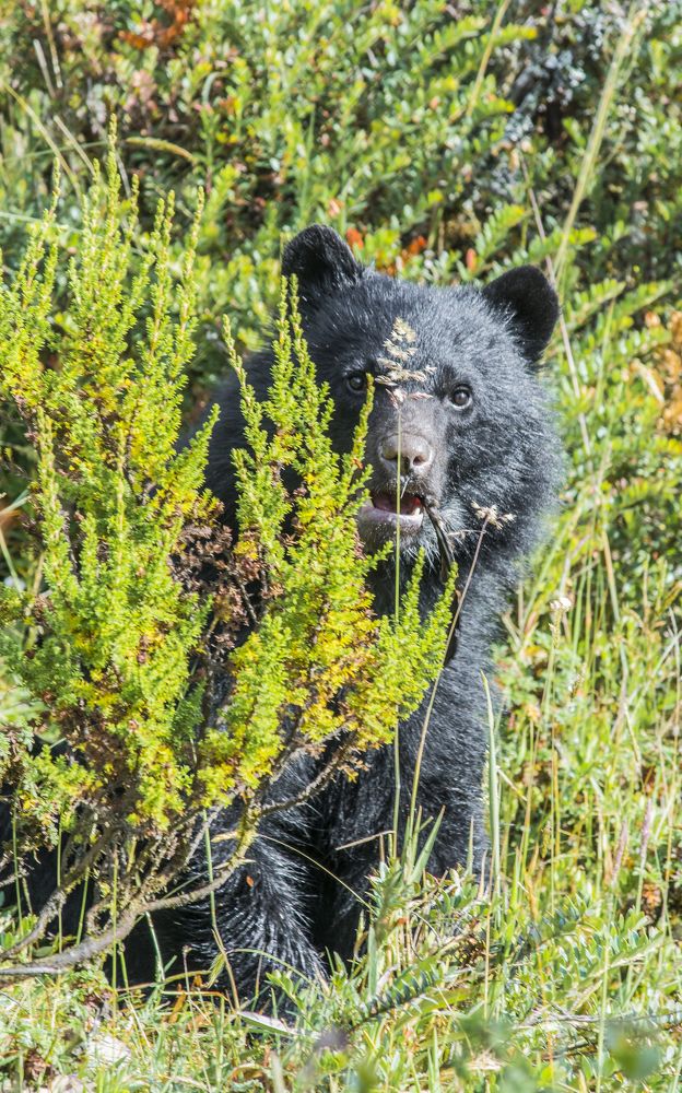 Photograph by Mario Pedraza