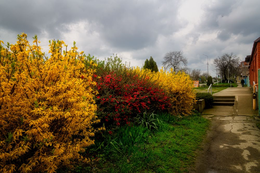 Photograph by Владимир Кваша