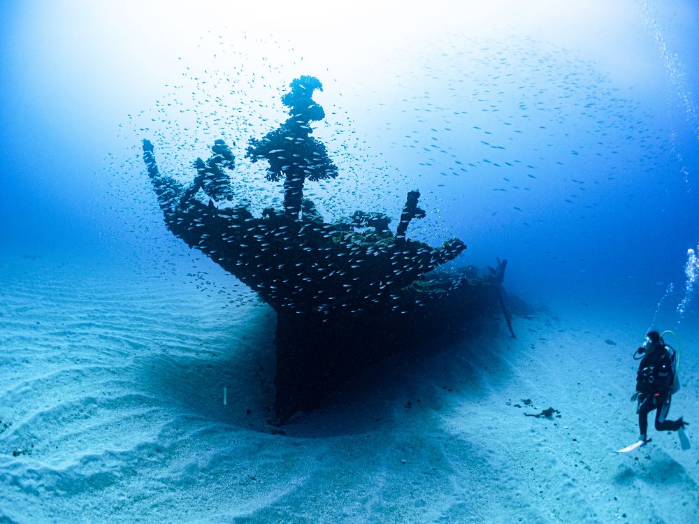 Photograph by Junya Higashi