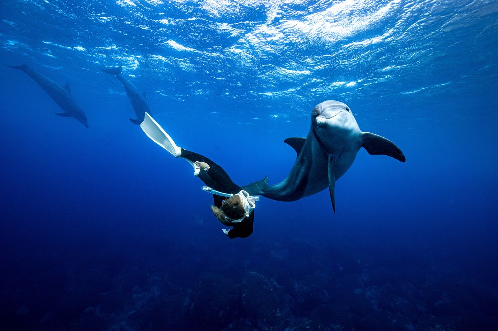 Photograph by Junya Higashi