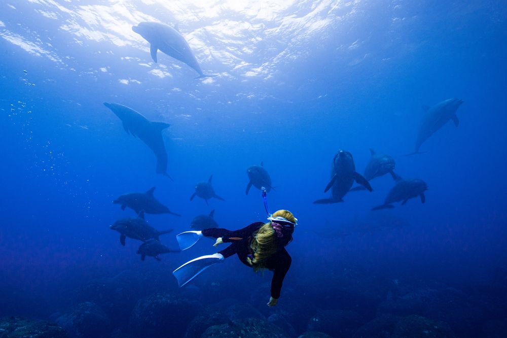 Photograph by Junya Higashi