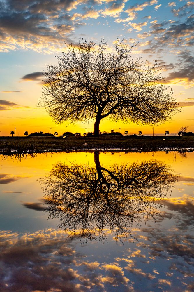 Photograph by Giga Kokoladze