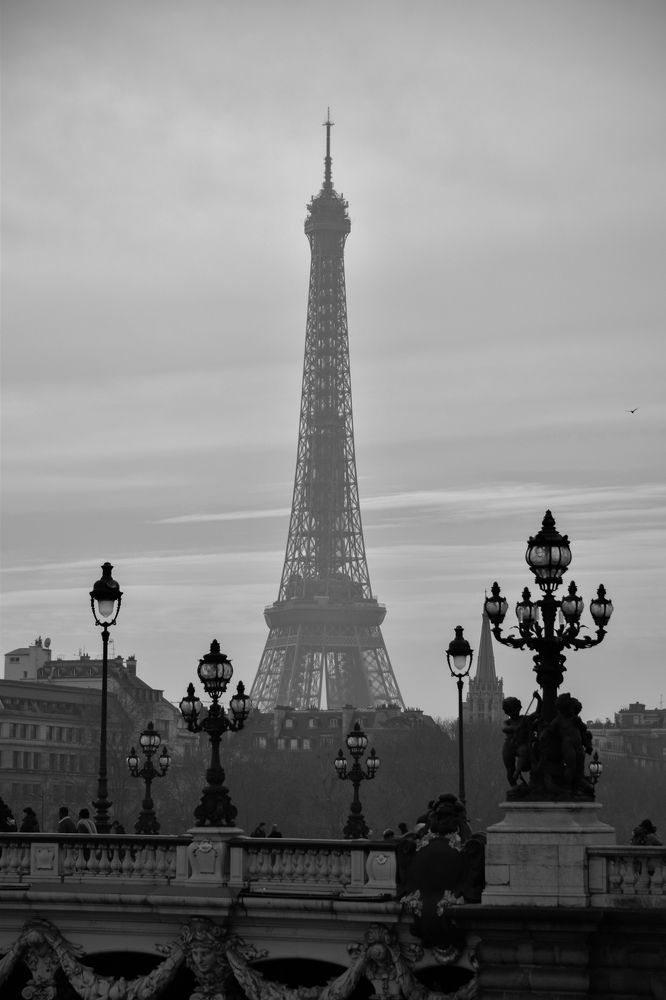 Photograph by Celeste