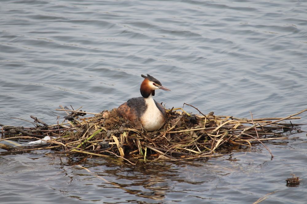 Photograph by Viktor Dikmann