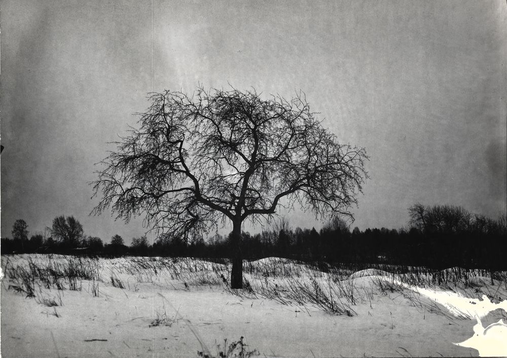 Фотография автора Роман Луночкин