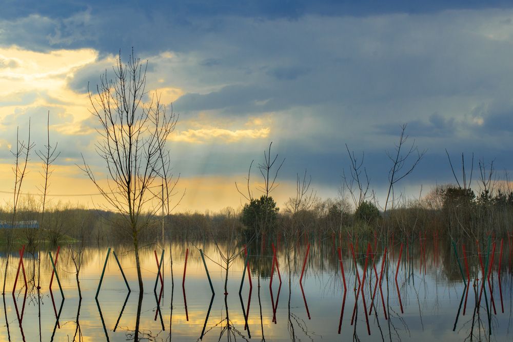 Фотография автора Алёна Подгорная
