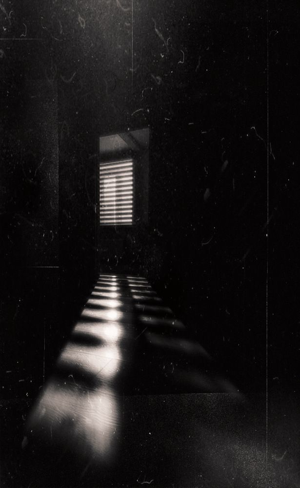 Photograph by Марина Урусова