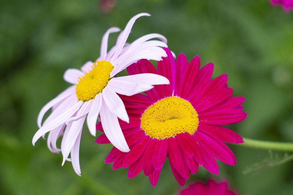 Photograph by Роман Шаров