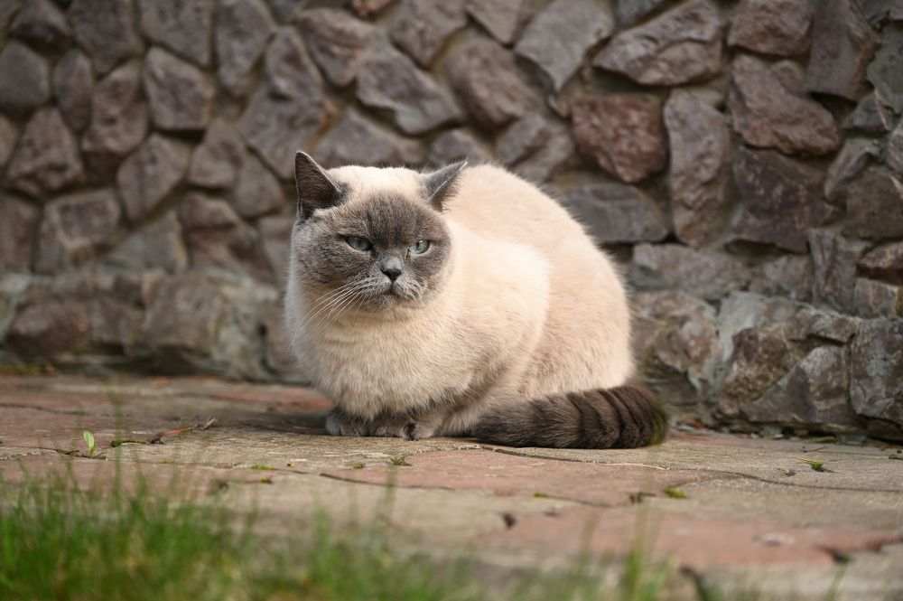 Photograph by Ирина Андриенко