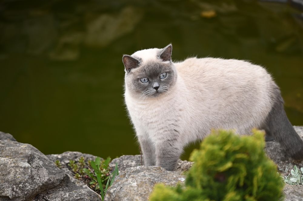 Photograph by Ирина Андриенко