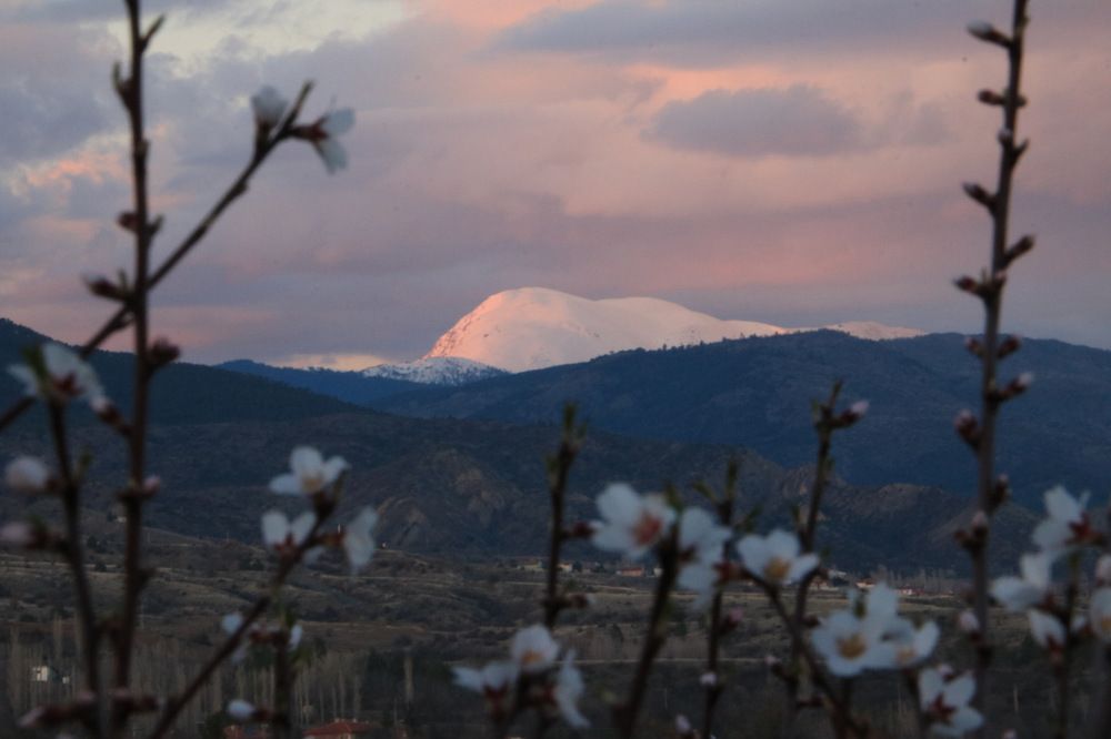 Photograph by Cengiz Yalcin