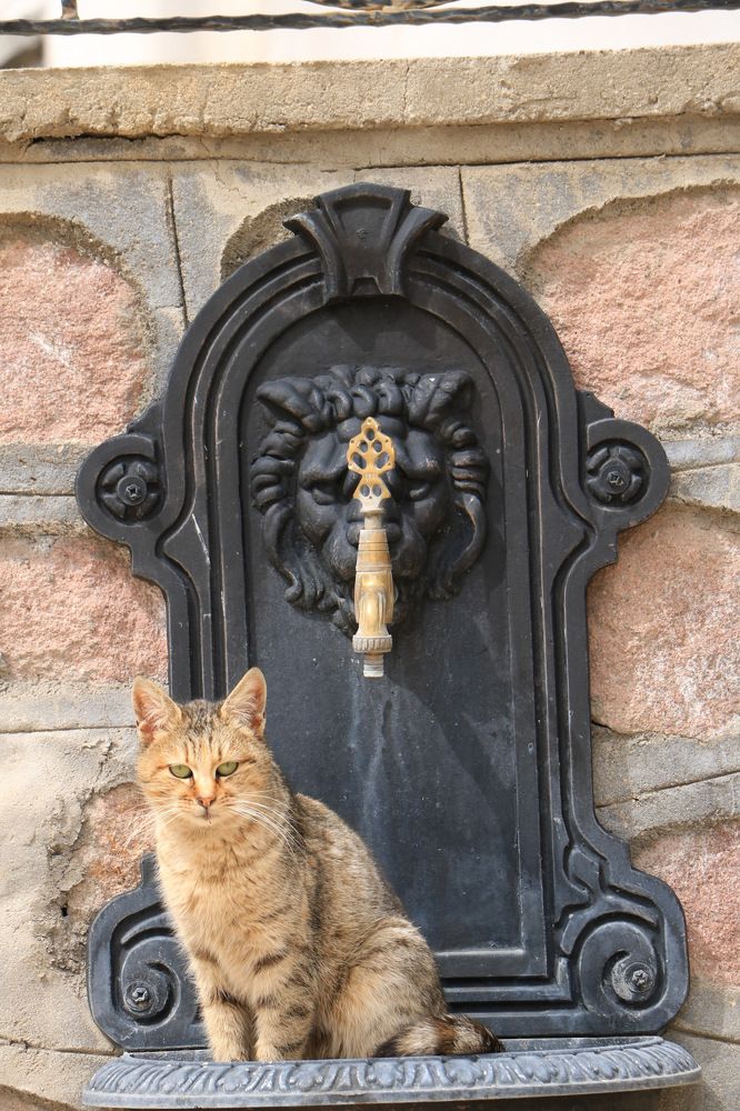 Photograph by Cengiz Yalcin